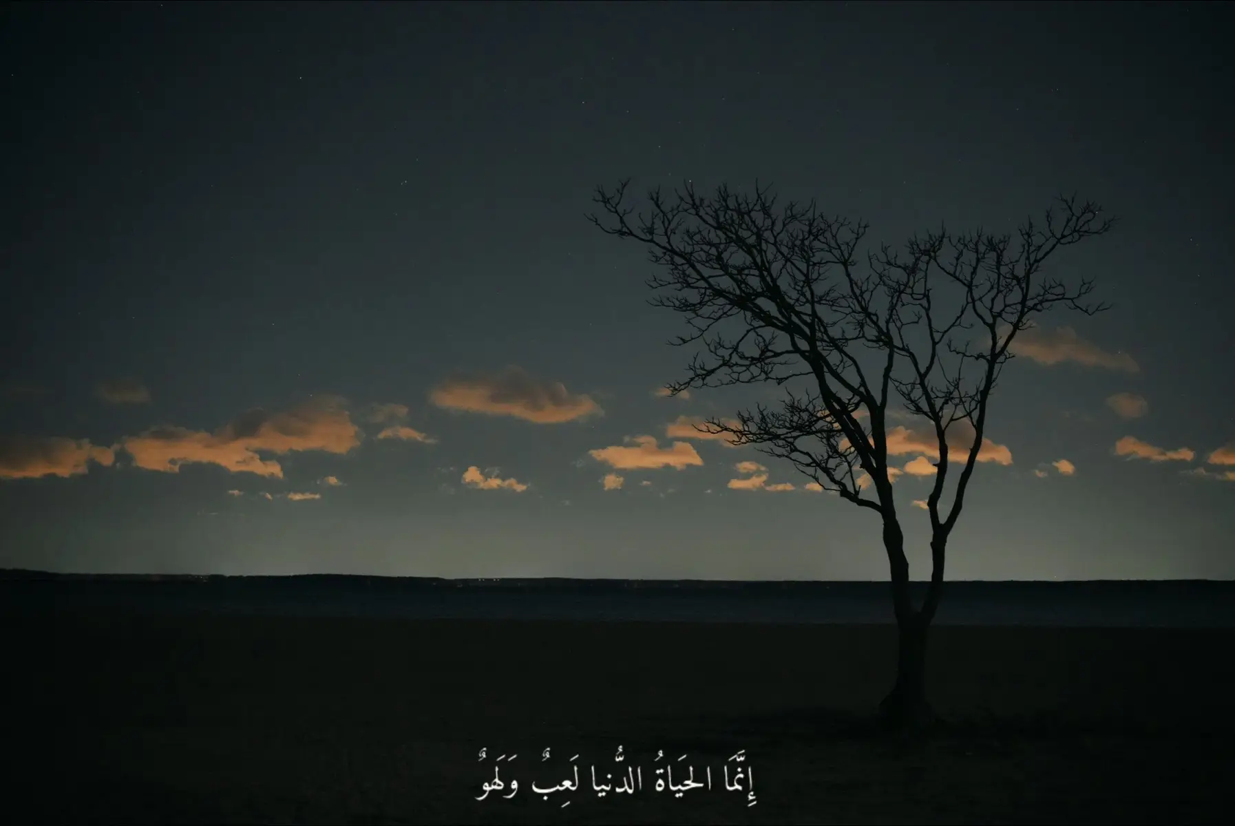 #قران #قران_كريم #اجر_لي_ولكم_ولوالدينا_وللمسلمين #quran #quran_alkarim 