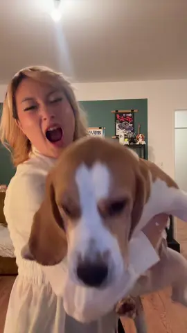 Voilà comment j'utilise les 1% de batterie restante lol #prt #pourtoi #monbebe #amour #chien 