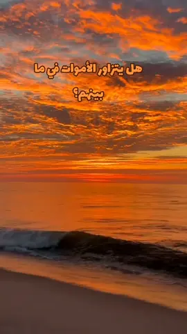 #هل_يتزاور_الأموات_في_ما_بينهم