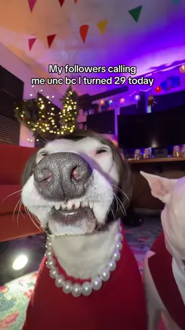 I’m literally pushing 30 #birthday #meme #unc #pushing30  #old 