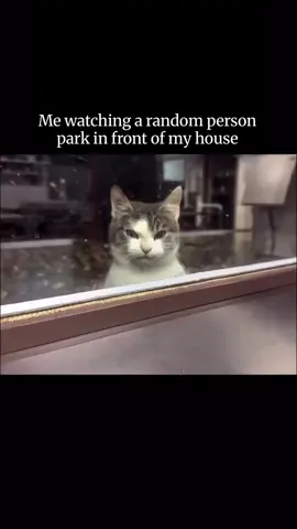 #fypシ #trending #xyzbcab 