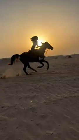 #ፍቅር➻ብቻ🖇ፍቅር➻ብቻ❤🥀🔐 #ፍቅር➻ብቻ🖇ፍቅር➻ብቻ❤🥀🔐 