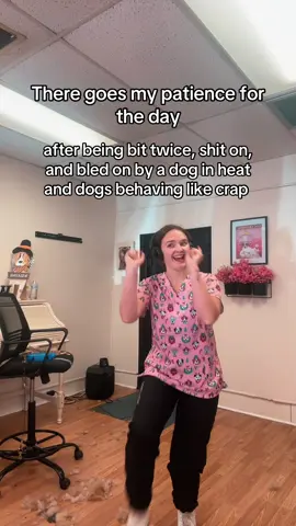 Is it Friday yet #doggrooming