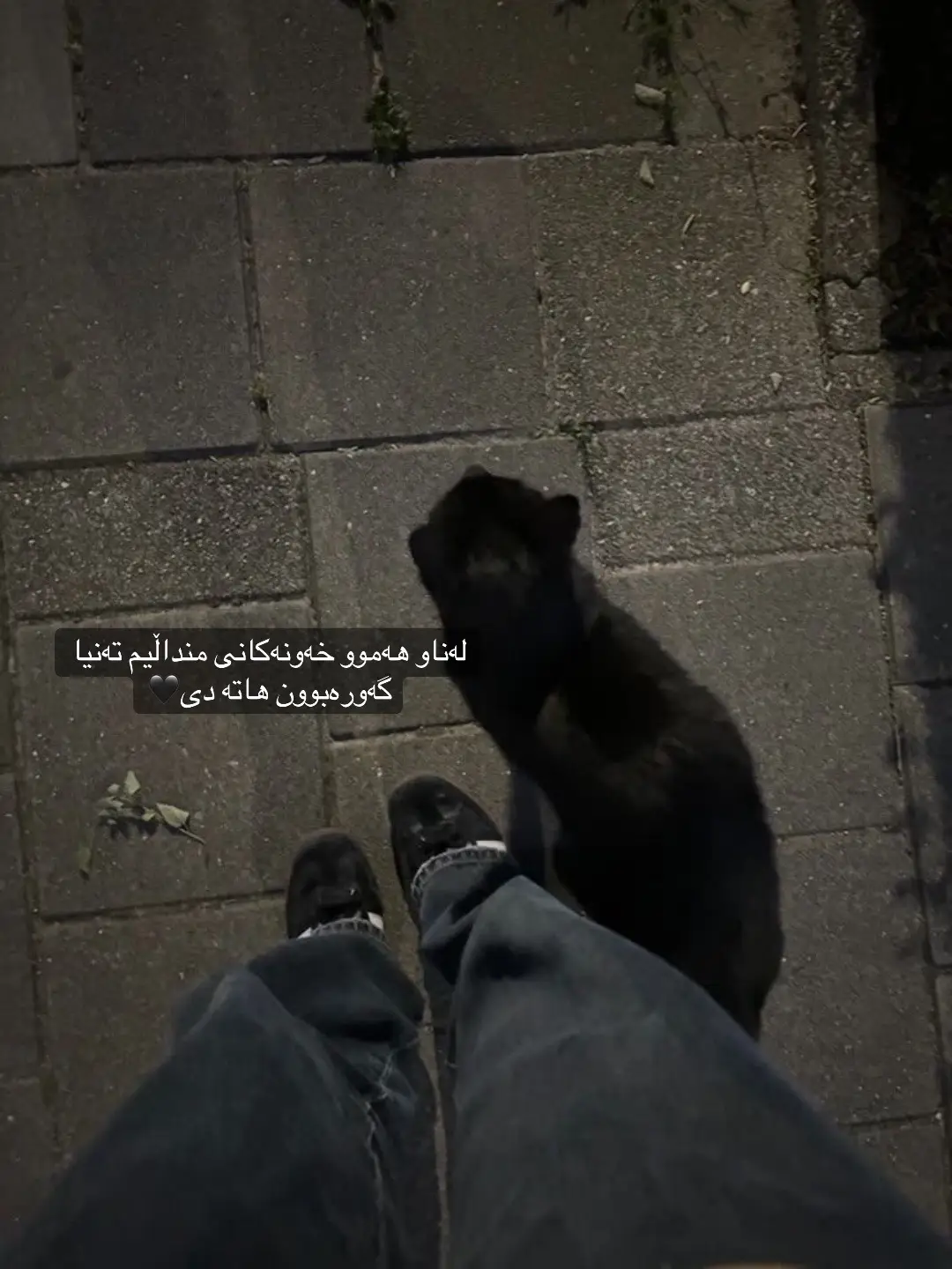 #🌚💔🥀 acctivv#acctivvbn🖤👌🏻 