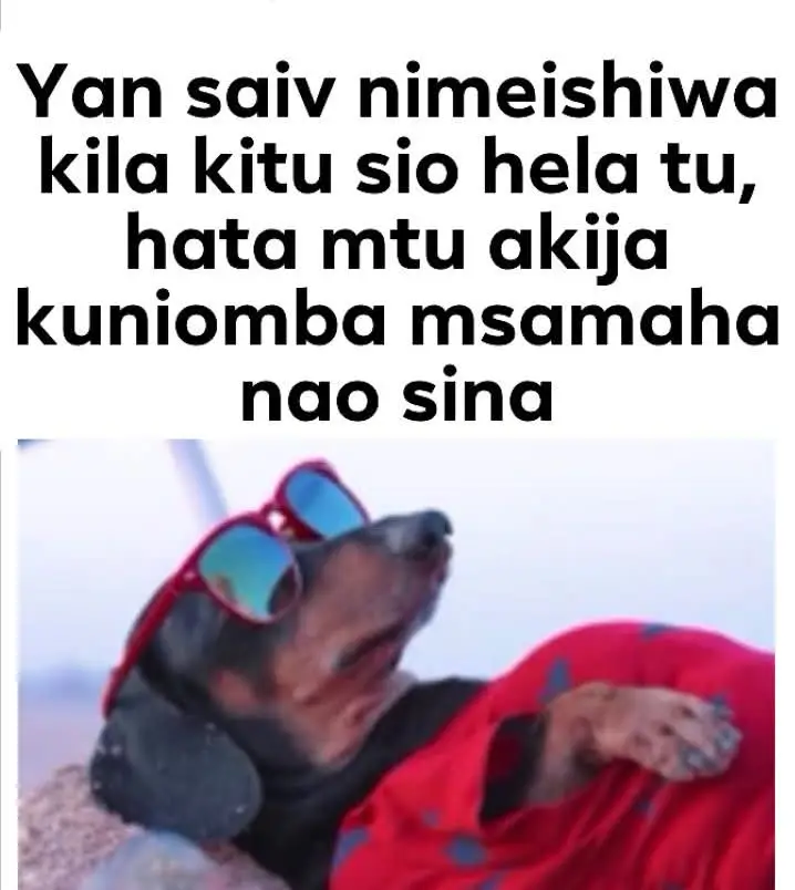 #creatorsearchinsights #keny #yyyyyyyyyyyyyyyyyyyyyyyyyyyyyy 