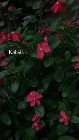 Kabhi kabhi me khud se hu❤️🫰🏼 #bodyguardlovelysingh #fypage 