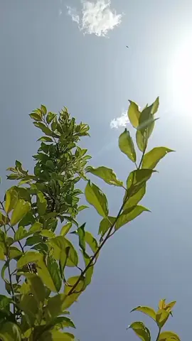 #CapCut يارب 🤲♥️#اللهم_امين_يارب_العالمين #حركة_إكسبلور #fyp 