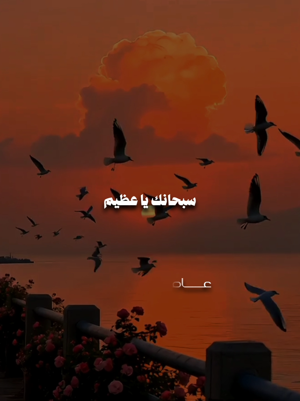 سبحانك يا عظيم 🤍🍂 . . . . #دعاء #مناجاة #دعاء_يريح_القلوب #عاصم_اللحيدان #ادعيه 