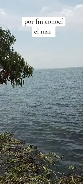 #LIVEIncentiveProgram #LIVECareer #PaidPartnership 