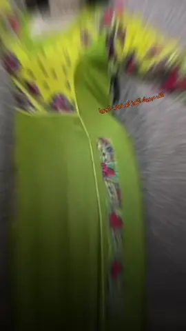 #ربيعه_ديار_شمر #متابعه_ولايك_واكسبلور_ 