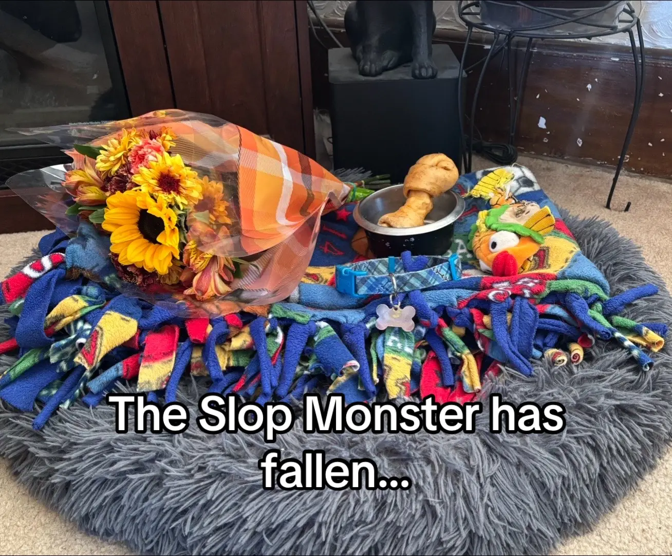 #fyp #viral #dog #chihuahua #rip 