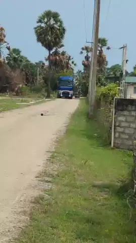 #සද්දන්ත_කුලේ_අපි❤️❤️❤️🇱🇰JAFFNA🇱🇰🇱🇰🇱🇰🇱🇰❤❤❤❤ 