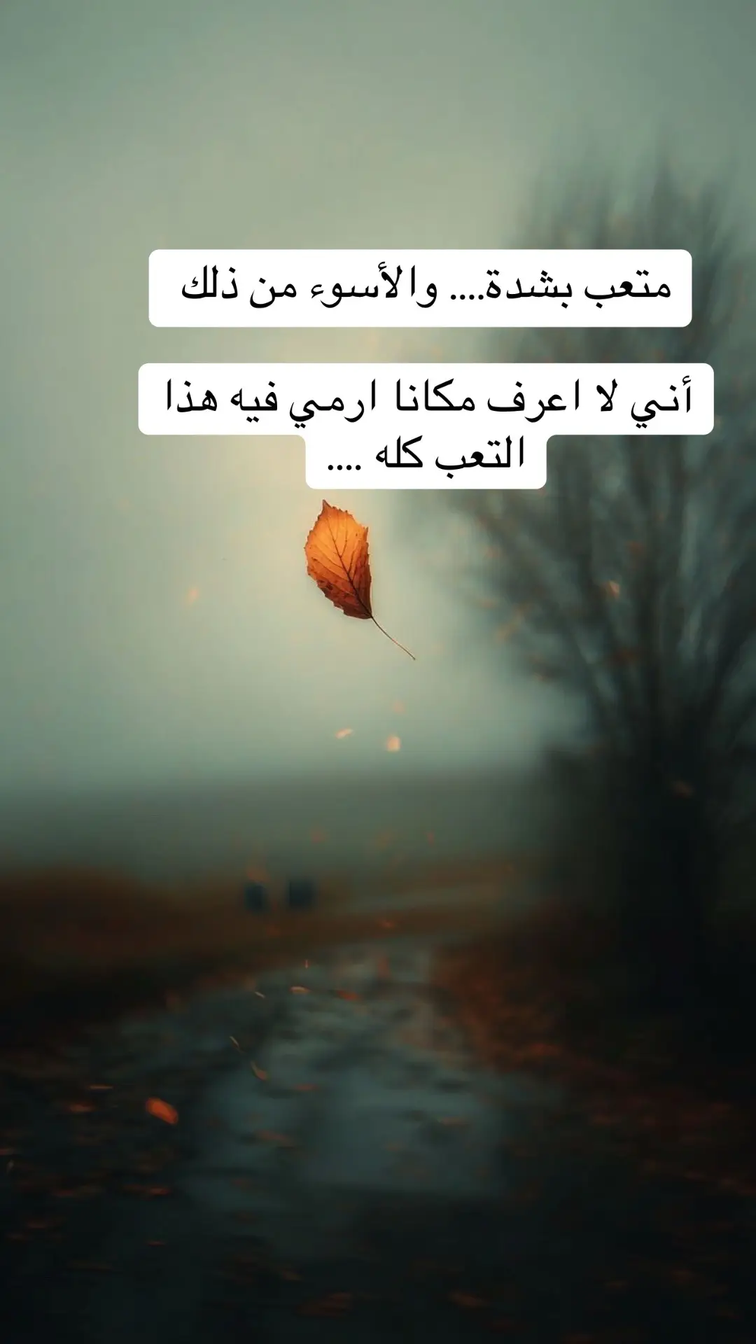 #viral #foryou #fypシ #تيك_توك #اكسبلور @Fares.93.sy 