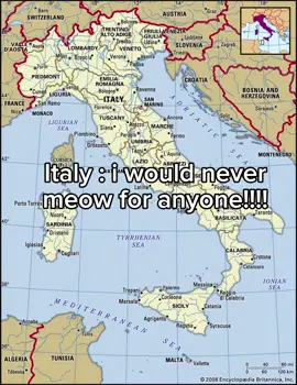 'i would never meow for anyone (aka a lie) ' im sorry i had to do this 😭💔 #italy #countires #iwouldnevermeowforanyone #fyp 