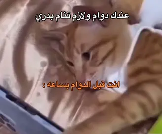 انت قبل الدوام ههههههه#اكسبلورexplore 