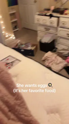 #indiegrrrlboss #calico #cat #kitten 