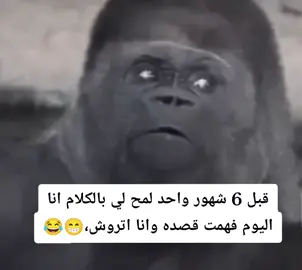 #الشعب_الصيني_ماله_حل😂😂 #ضحك #fyp #foryou #foryoupage 