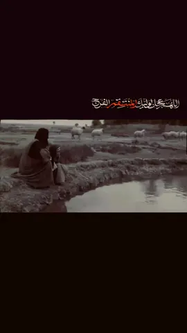 يا قاسم الايمان والعطاء مدد . #ملا_ذوالفقار_الكعبي  #سجاد_المحمداوي  #اللهم_عجل_لوليك_الفرج  #الامام_الحسين_عليه_السلام  #الامام_العباس_عليه_السلام  ‏