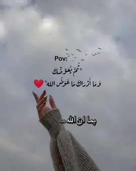 #توكلت_على_الله #يارب_فوضت_امري_اليك #اكسبلورexplore❥🕊🦋💚❤🕊️habiby 