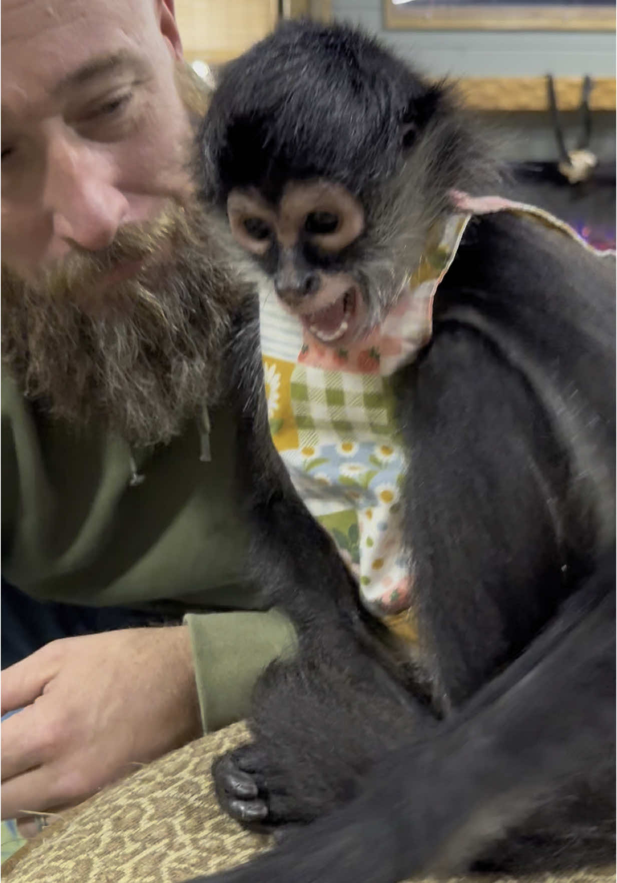 Spidermonkey Lucy’s bite face has always cracked us up🤣