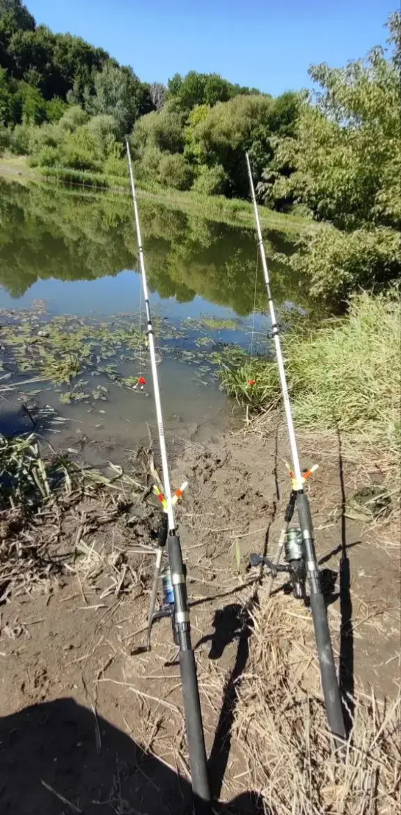 Рибалка на тетериві Житомир, мій улов за все літо на цій річці,багато не фоткав так шо це не весь улов скідуйте свій улов в коми👇🏿 #житомир #риболовля #рибалка #тетерів #fup p