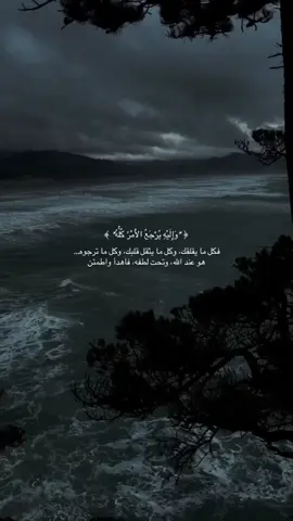 #قران_كريم #اجر_لي_ولكم #اكتب_شي_توجر_عليه 