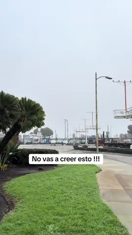 Esto no ocurre todos los dias es algo increíble !! #plane #landing #airplane #increible #amazing 