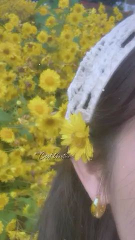 #CapCut #สวนดอกไม้ #ม่อนแจ่ม #เชียงใหม่ 