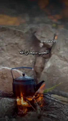 #أكسبلور_شعر_حكم_خواطر 