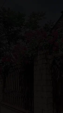 #تحس انك تهين نفسك يوم تراسل، شخص ويتجاهل، رسايلك #عباراتــــــــــــ♡ـــــ☜♬راقية🥀🧡،،، #اقتباسات_عبارات_خواطر🖤🦋 #explore 