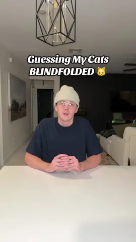 Blindfolded Cat Challenge 👀🐱 #fyp #catsoftiktok #cats #cam2r #challenge 