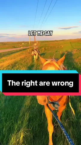 The right has fought against everything you you enjoy today. Time to wake up and vote for yourselves not the 1% #socialism #horsetok #bluenomatterwho #horsesoftiktok 