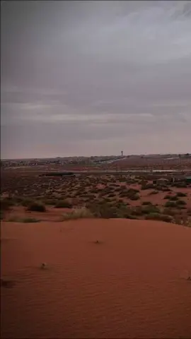 #اكسبلور #الواليد_ال_عامر 