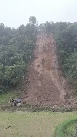 Kejadian terkini | Longsor disekitar Kecamatan Sukaresmi Kabupaten Cianjur Provinsi Jawa Barat tadi sore. #fyp #foryoupage #tiktokviral #longsor #tiktoktrending 