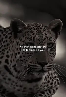 Protect your peace before it destroys you. #motivation #mindset #mentality #success 