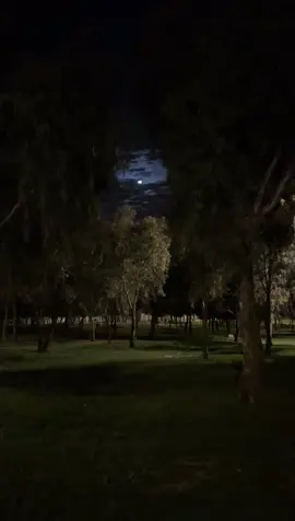 #اكسبلورexplore #النماص #fypシ゚ #foryoupage 