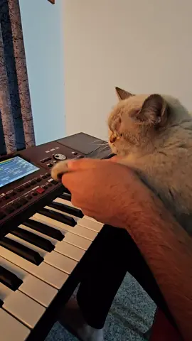 حته البزون علمتها😂💔