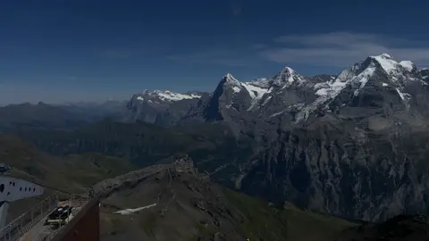 vibe? #nature #vibe #fyp 