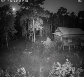 #santelmo #เรื่องนี้ต้องดู #fyp #แสงประหลาด😱😱😱😱 #ai 