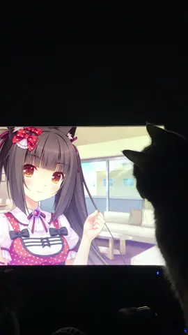 марсичка #fyp #nekopara 
