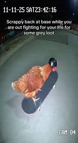 Scrappy come in clutch #arcraiders #scrappy #chicken #Skateboarding 