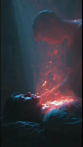 the program for humans