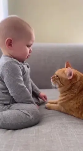 Cat want to apologize to baby😺👶🤣😂#cutebaby #cutecat #funnybaby #funnycat #viralusa 