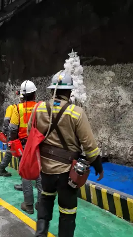 #timikapapuakotadolar 