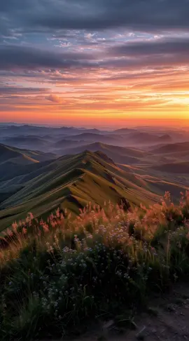 My Favorite Trail #Background #LiveWallpaper #Aesthetic #Nostalgia #freebieclip