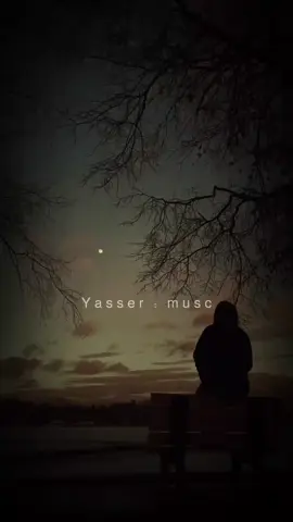 #تصميم_فيديوهات🎶🎤🎬 #مشاهير_تيك_توك_مشاهير_العرب #مشاهير #مشاهدات #cat 