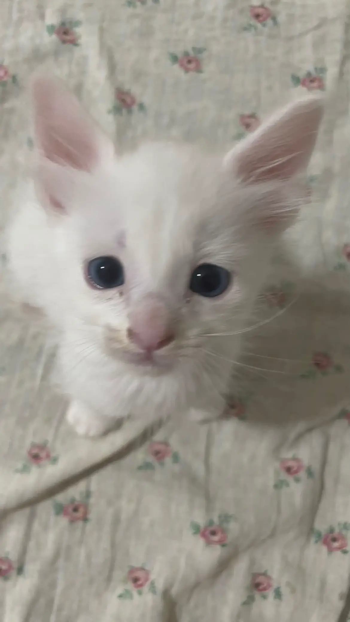 نبغيك ❤️✨