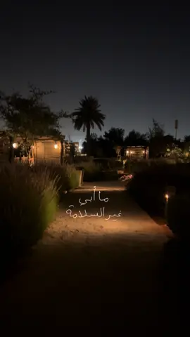 وين تاخذني الخطاوي .. وين أروح ‏كيف أوصل للتداوي .. من الجروح ‏ما أبي غير السلامة ‏وللهوى الصادق علامة ‏ومضة الشوق الفضوح  