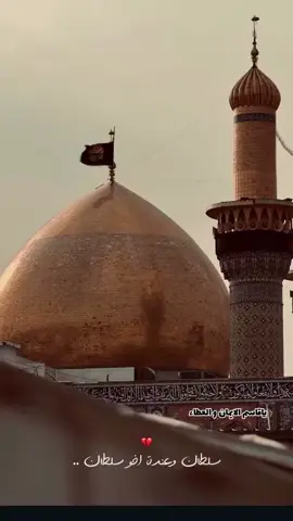 ياقاسم الايمان #اللهم_عجل_لوليك_الفرج #ذوالفقار_الكعبي #ملا_ذوالفقار_الكعبي #مضيف_قمر_بني_هاشم_بغداد_الشعب #دخيلك_ياقاسم_الايمان_والعطاء 