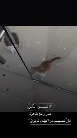 #تصميم_فيديوهات🎶🎤🎬 #تصويري 